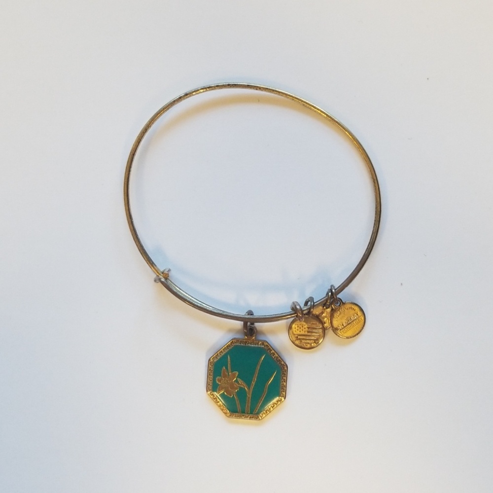 Alex and Ani Bracelet